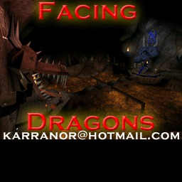 CTF-Facingdragons