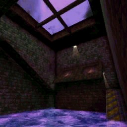 DM-Asylum
