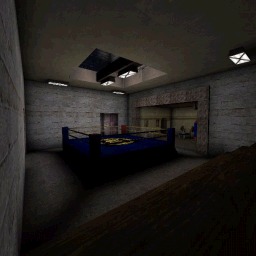 DM-FightNight