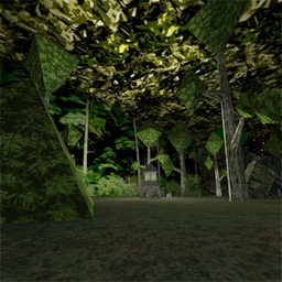 DM-so_ForestFight